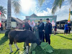 Komandan Batalyon D Pelopor Kompol Muhammad Agus, S.E., M.M. Pimpin Penyembelihan 20 Ekor Sapi Kurban di Baebunta dan Wilayah Jajaran