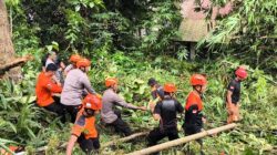 Sinergi Tim SAR Gabungan Evakuasi Pohon Tumbang yang Timpa Rumah Warga di Parepare