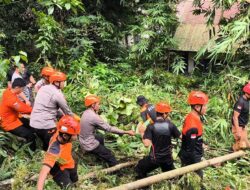 Sinergi Tim SAR Gabungan Evakuasi Pohon Tumbang yang Timpa Rumah Warga di Parepare
