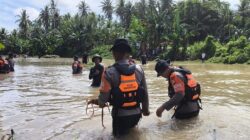 Berita Duka: Korban Hanyut Di Pinrang Ditemukan, Tim SAR Batalyon B Pelopor Brimob