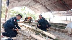 Brimob Polda Sulsel Lanjutkan Hari ke-3 Pembuatan Balasuji Pengukuhan Kemakolean Baebunta