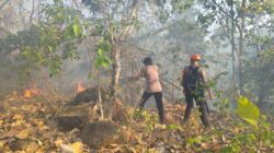 Tim SAR Batalyon B Pelopor Padamkan Karhutla di Kampung Mandar Parepare