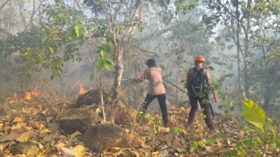Tim SAR Batalyon B Pelopor Padamkan Karhutla di Kampung Mandar Parepare