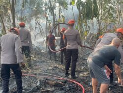 Tim SAR Batalyon B Pelopor Bersama Damkar Parepare Padamkan Karhutla di Bacukiki Barat

Parepare, — Tim SAR Batalyon B Pelopor Satuan Brimob Polda Sulsel bersama Dinas Pemadam Kebakaran (Damkar) Kota Parepare turun tangan memadamkan kebakaran hutan dan lahan (Karhutla) di Jalan Bau Massepe, Kecamatan Bacukiki Barat, Kota Parepare, Senin (28/09/2026).

Personel Tim SAR Batalyon B Pelopor bersama petugas Damkar langsung bergerak ke lokasi setelah menerima informasi adanya kebakaran lahan.

Setibanya di lokasi, personel segera melakukan pemadaman untuk mengendalikan kobaran api agar tidak meluas ke area di sekitarnya.

Proses pemadaman dilakukan secara bersama-sama dengan mengerahkan peralatan yang tersedia. Personel juga melakukan penyisiran di sekitar titik kebakaran guna memastikan tidak ada lagi api yang berpotensi kembali membesar.

Komandan Batalyon B Pelopor Satuan Brimob Polda Sulsel, Kompol Dr. Ramli, mengatakan personel Batalyon B Pelopor akan selalu siap memberikan respons cepat terhadap setiap kejadian yang membutuhkan bantuan, termasuk penanganan kebakaran dan bencana.

"Kami selalu menekankan kepada personel untuk responsif terhadap setiap kejadian di lapangan. Dalam penanganan Karhutla ini, kami bersinergi dengan Damkar Kota Parepare untuk memastikan api dapat segera dikendalikan dan tidak meluas,” ujar Kompol Dr. Ramli.

Ia juga mengimbau masyarakat agar meningkatkan kewaspadaan terhadap potensi kebakaran, khususnya pada lahan yang kering.

"Kami mengimbau masyarakat untuk bersama-sama menjaga lingkungan dan tidak melakukan aktivitas yang dapat memicu terjadinya kebakaran. Jika menemukan adanya titik api, segera laporkan agar dapat ditangani dengan cepat,” katanya.

Kolaborasi Tim SAR Batalyon B Pelopor dan Damkar Kota Parepare menjadi langkah cepat dalam menangani kejadian tersebut sekaligus mencegah api meluas dan mengancam lingkungan maupun permukiman warga.

Setelah dilakukan pemadaman dan penyisiran, personel memastikan titik-titik yang berpotensi menimbulkan api kembali telah ditangani.

Kegiatan tersebut merupakan bagian dari kesiapsiagaan Batalyon B Pelopor Satuan Brimob Polda Sulsel dalam memberikan pelayanan dan membantu masyarakat, khususnya dalam menghadapi situasi kebencanaan yang membutuhkan respons cepat.
